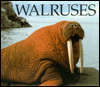 Cover image of Walruses