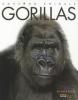 Cover image of Gorillas