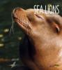 Cover image of Sea lions