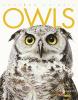 Cover image of Owls