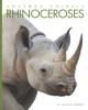 Cover image of Rhinoceroses