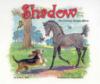 Cover image of Shadow