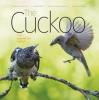 Cover image of The cuckoo