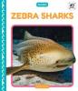 Cover image of Zebra sharks