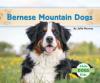 Cover image of Bernese mountain dogs