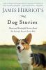 Cover image of James Herriot's dog stories