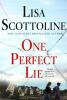 Cover image of One perfect lie