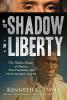 Cover image of In the shadow of liberty