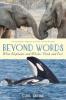 Cover image of Beyond words