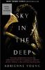 Cover image of Sky in the deep