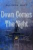 Cover image of Down comes the night