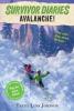 Cover image of Avalanche!