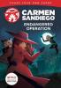 Cover image of Carmen Sandiego