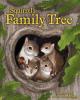 Cover image of Squirrel's family tree