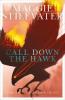 Cover image of Call down the hawk