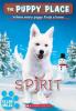 Cover image of Spirit