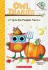 Cover image of Trip to the pumpkin farm