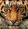 Cover image of Animals