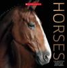 Cover image of Horses