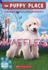 Cover image of Waffles