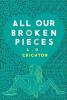 Cover image of All our broken pieces