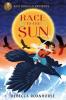 Cover image of Race to the sun