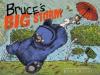 Cover image of Bruce's big storm