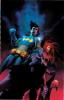 Cover image of Nightwing and Flamebird