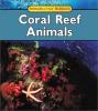 Cover image of Coral reef animals