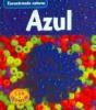 Cover image of Azul