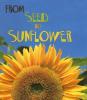 Cover image of From Seed to Sunflower