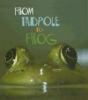 Cover image of From Tadpole to Frog