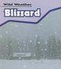 Cover image of Blizzard (Wild Weather