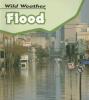 Cover image of Flood (Wild Weather