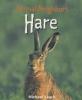 Cover image of Hare
