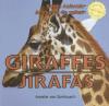 Cover image of Giraffes =