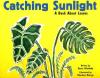 Cover image of Catching sunlight