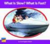 Cover image of What is Slow? What is Fast?