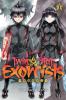 Cover image of Twin star exorcists