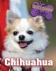 Cover image of Chihuahua