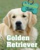 Cover image of Golden retrievers