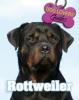 Cover image of Rottweiler