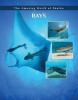 Cover image of Rays