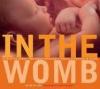 Cover image of In the womb
