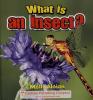 Cover image of What is an insect?