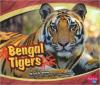 Cover image of Bengal tigers