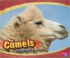 Cover image of Camels