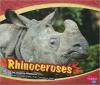 Cover image of Rhinoceroses