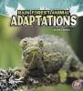 Cover image of Rain forest animal adaptations