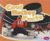 Cover image of Cool hockey facts